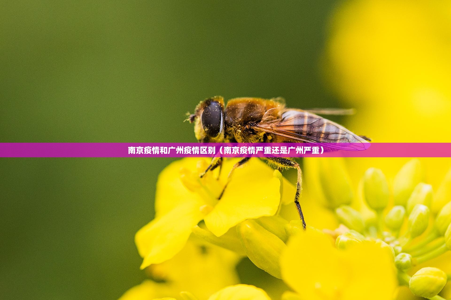 南京疫情和广州疫情区别（南京疫情严重还是广州严重）
