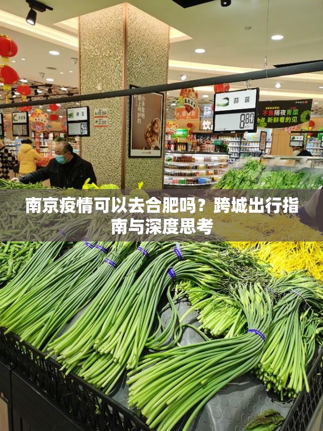 南京疫情可以去合肥吗？跨城出行指南与深度思考