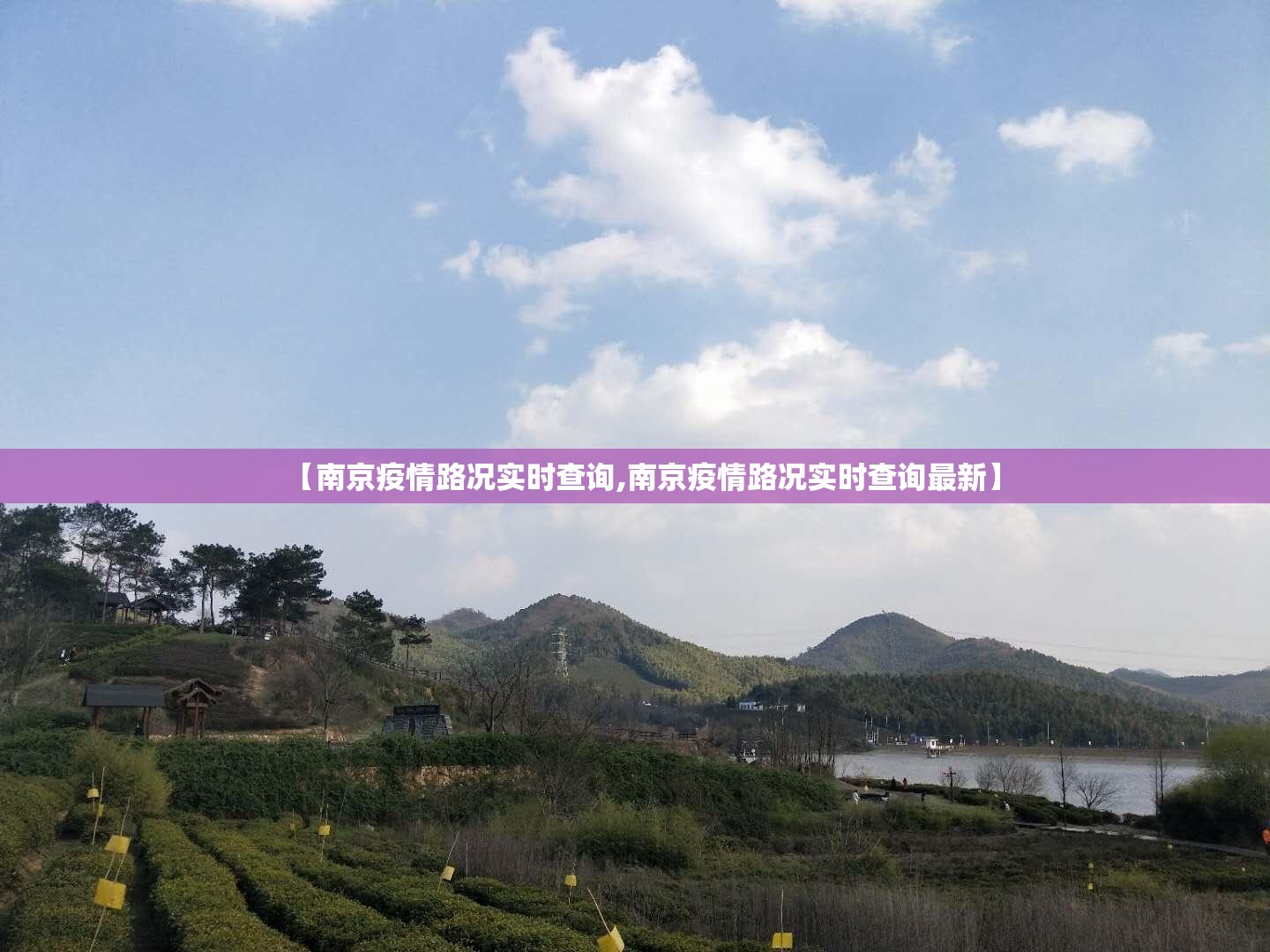 【南京疫情路况实时查询,南京疫情路况实时查询最新】