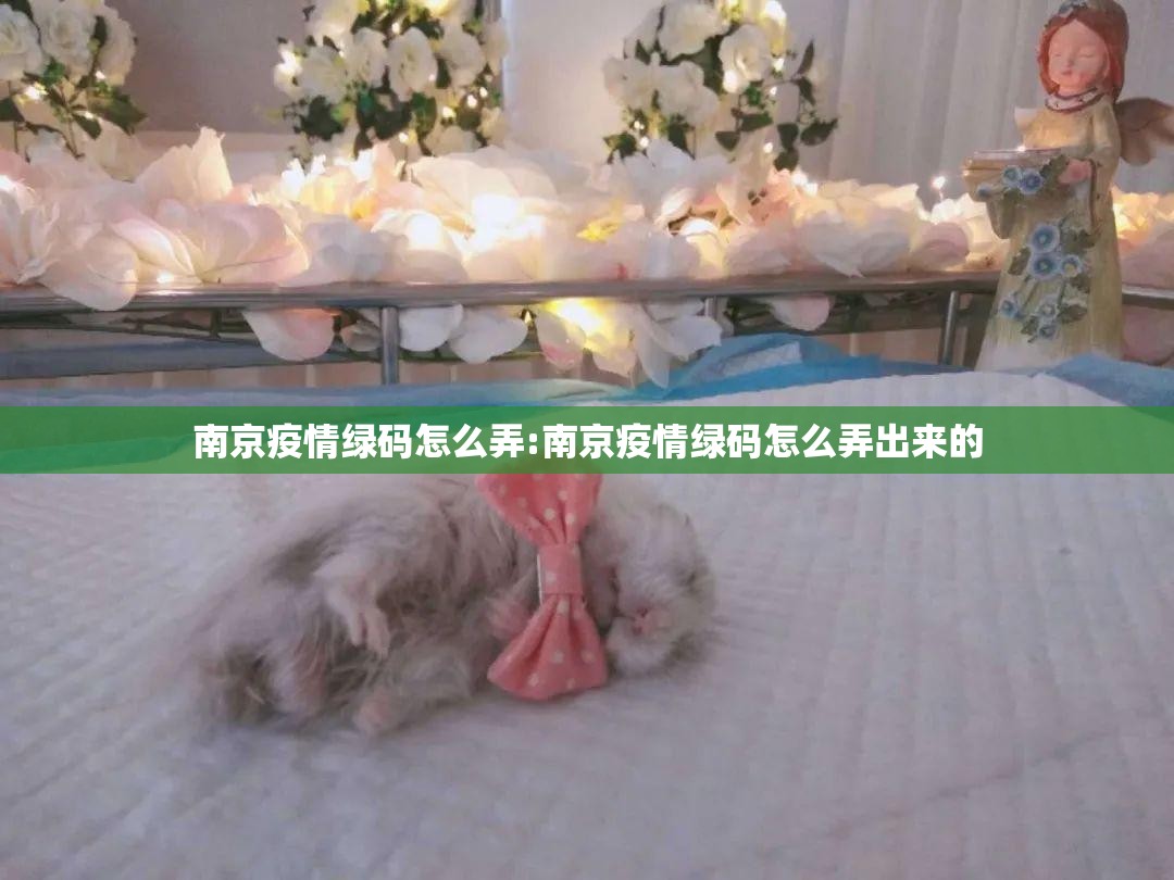 南京疫情绿码怎么弄:南京疫情绿码怎么弄出来的