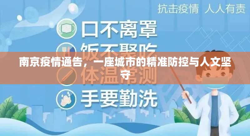 南京疫情通告，一座城市的精准防控与人文坚守