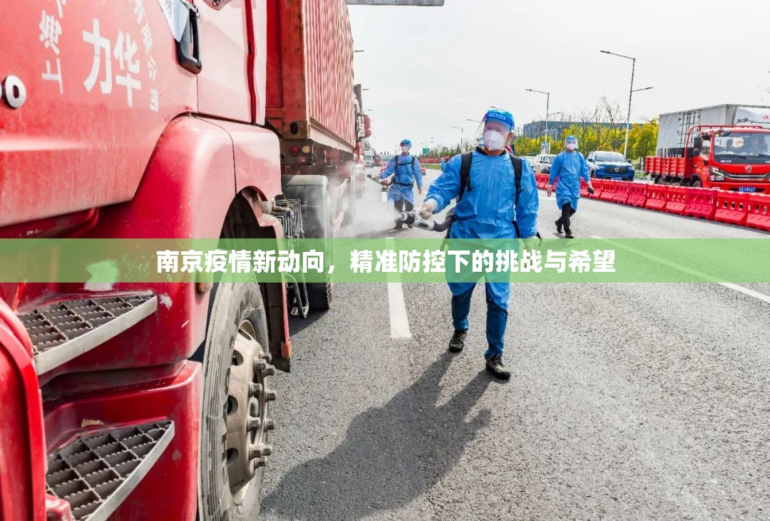 南京疫情新动向，精准防控下的挑战与希望
