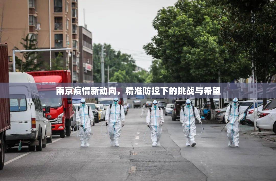 南京疫情新动向，精准防控下的挑战与希望