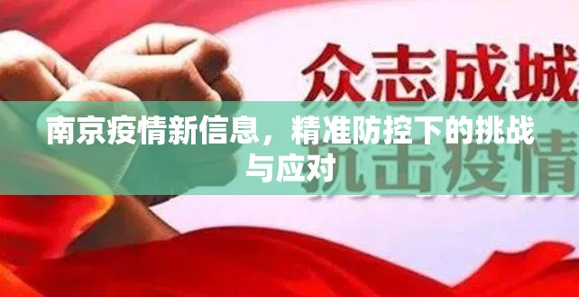 南京疫情新信息，精准防控下的挑战与应对