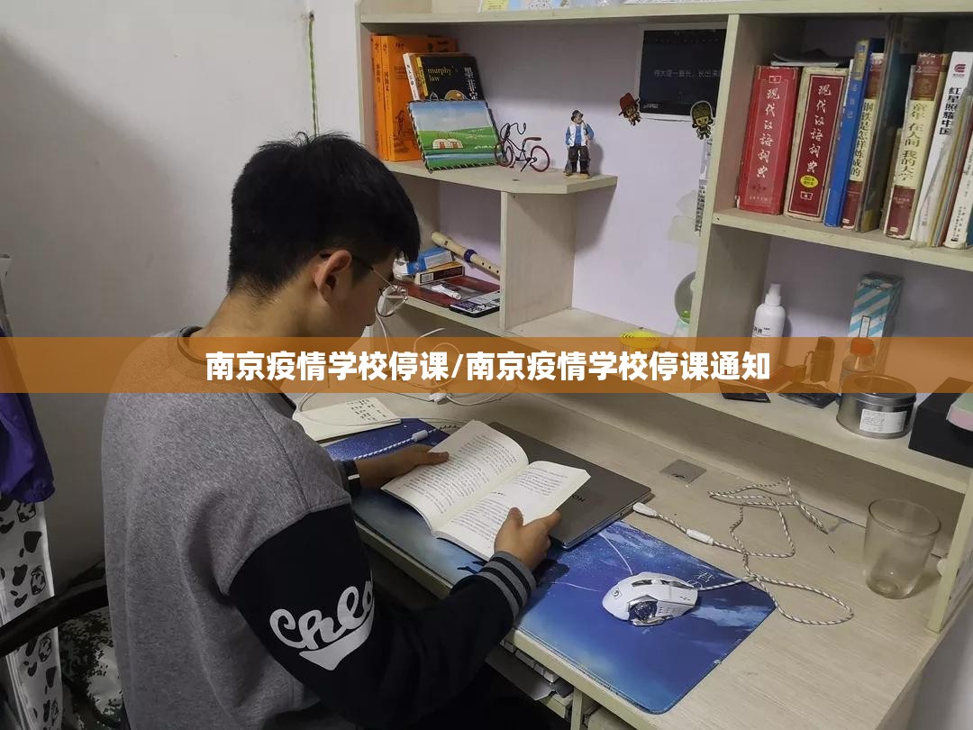 南京疫情学校停课/南京疫情学校停课通知