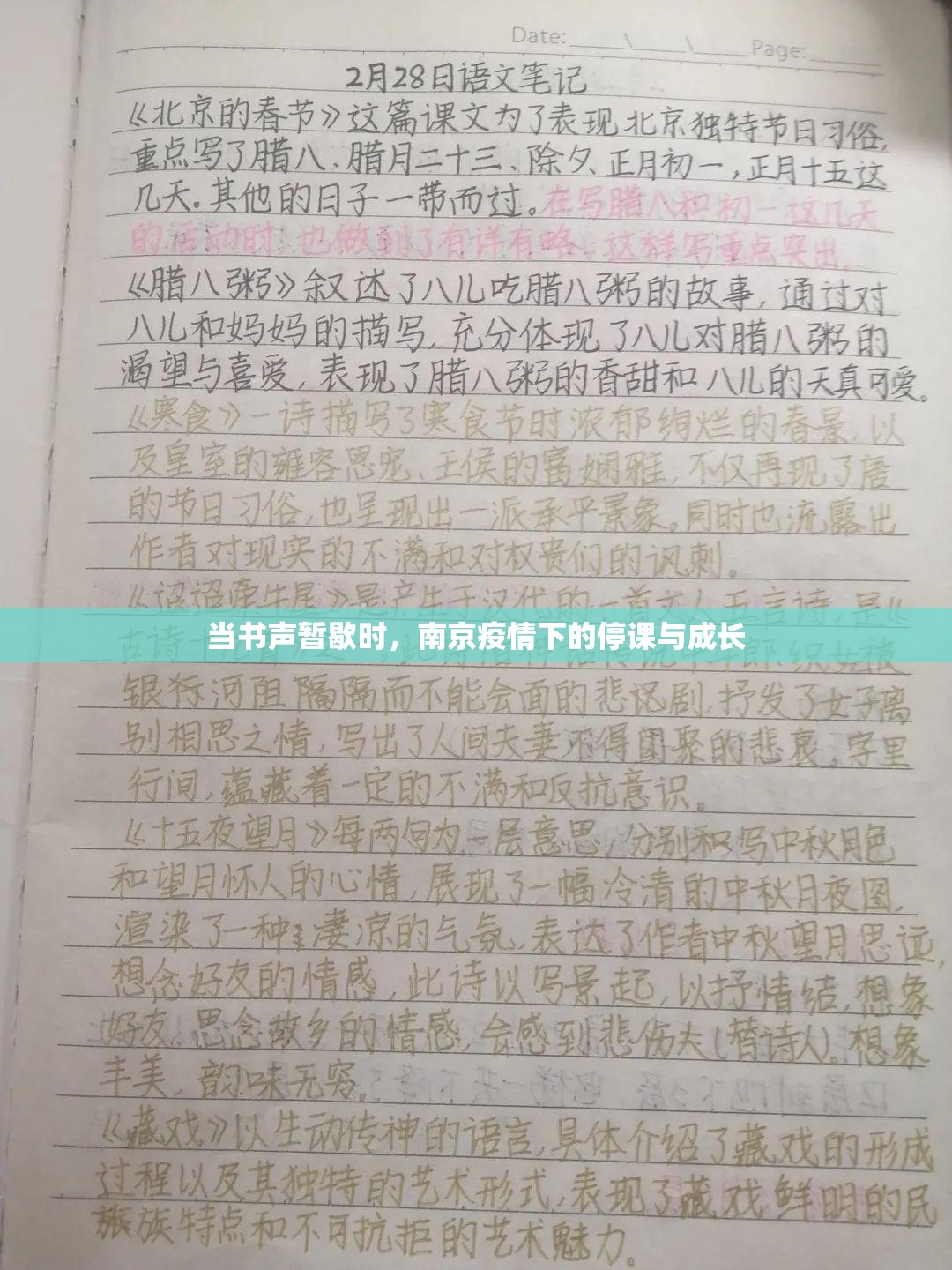 当书声暂歇时，南京疫情下的停课与成长