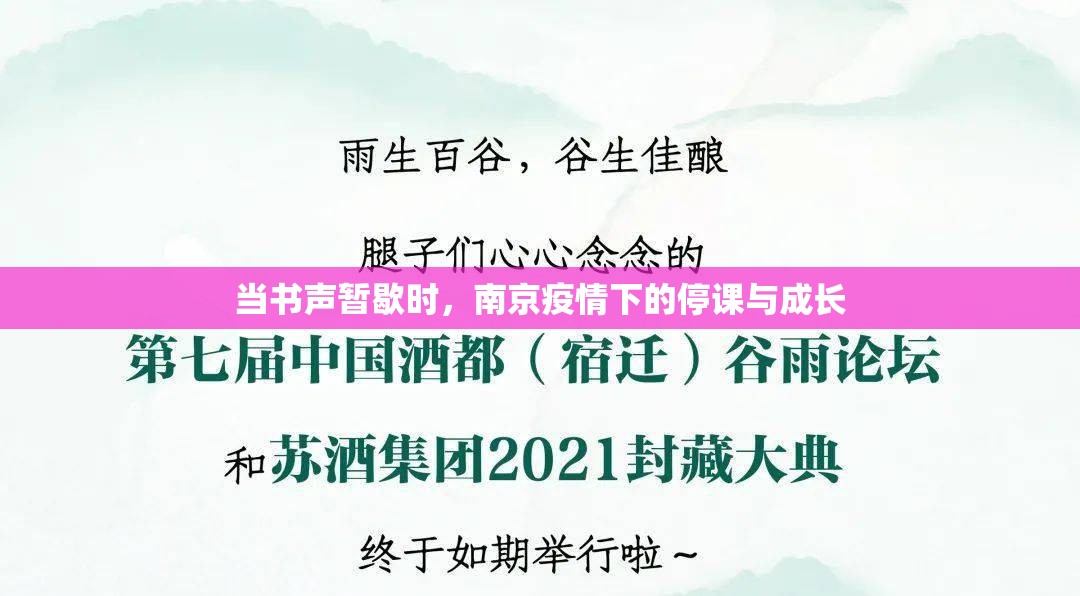 当书声暂歇时，南京疫情下的停课与成长