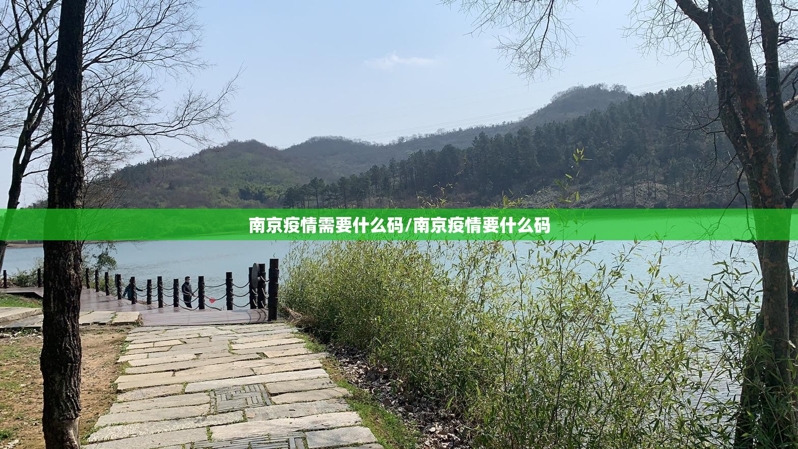 南京疫情需要什么码/南京疫情要什么码