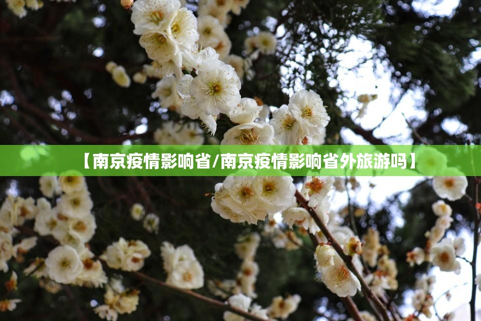 【南京疫情影响省/南京疫情影响省外旅游吗】