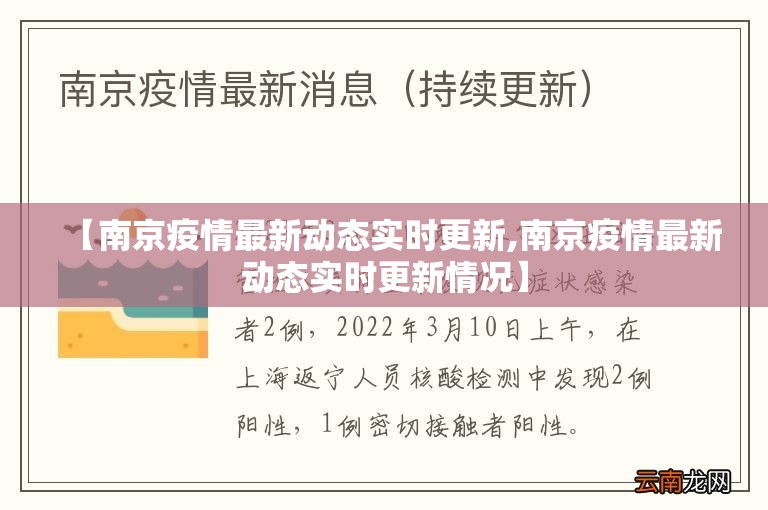 【南京疫情最新动态实时更新,南京疫情最新动态实时更新情况】