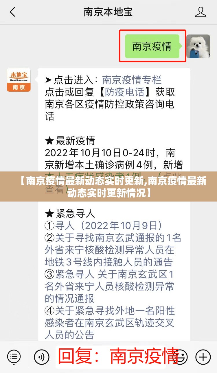 【南京疫情最新动态实时更新,南京疫情最新动态实时更新情况】