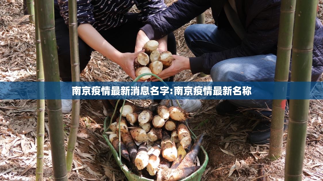 南京疫情最新消息名字:南京疫情最新名称