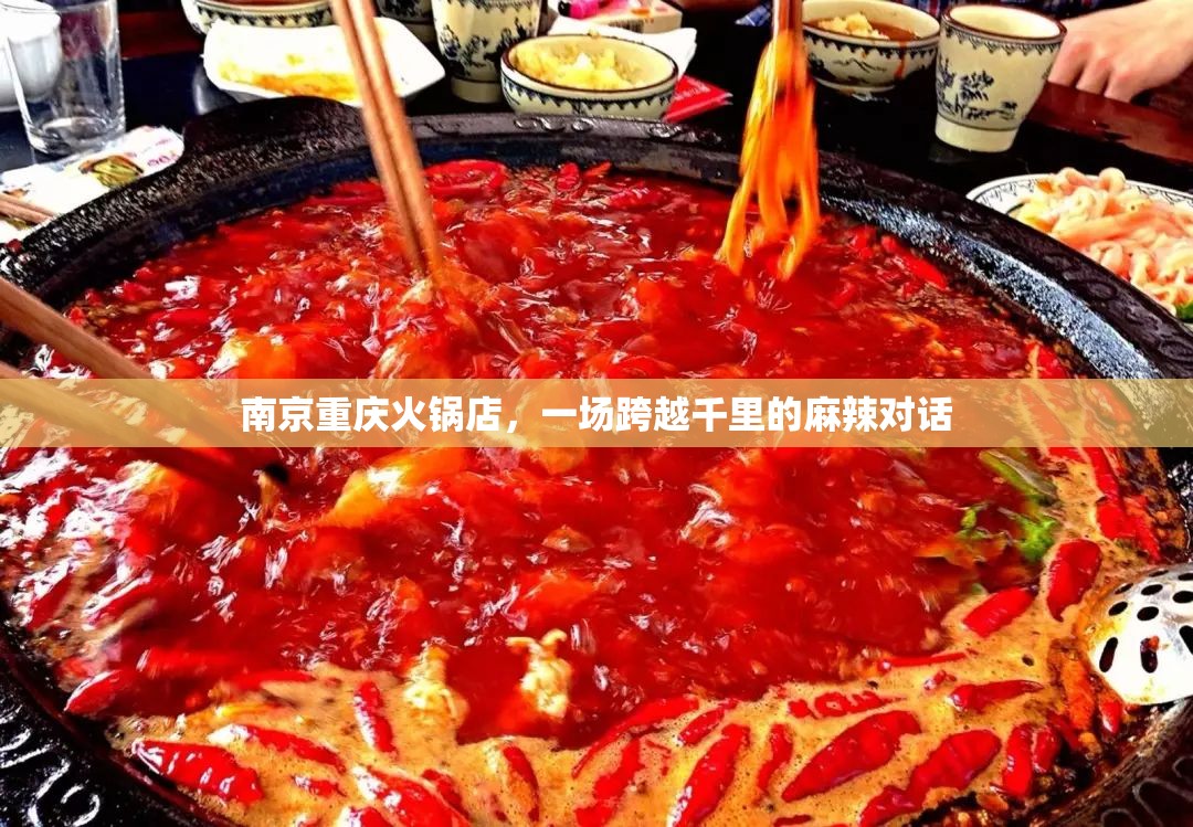 南京重庆火锅店，一场跨越千里的麻辣对话