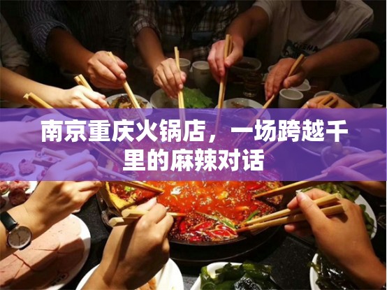 南京重庆火锅店，一场跨越千里的麻辣对话