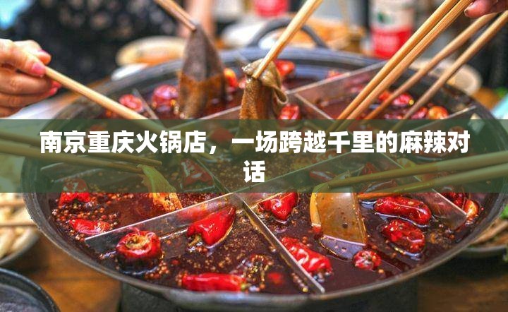 南京重庆火锅店，一场跨越千里的麻辣对话