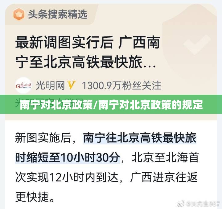 南宁对北京政策/南宁对北京政策的规定