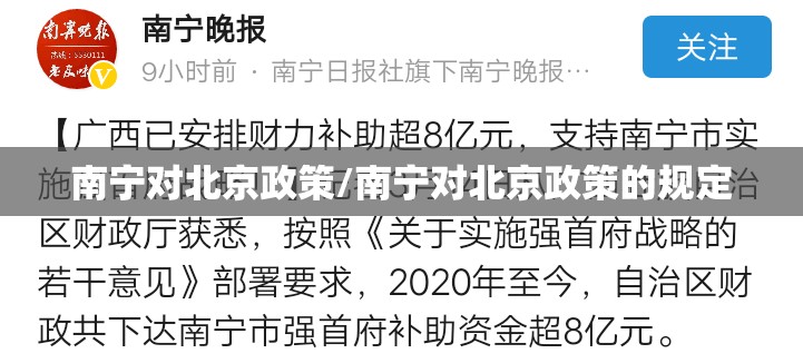 南宁对北京政策/南宁对北京政策的规定