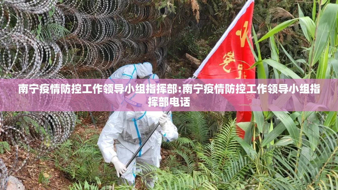 南宁疫情防控工作领导小组指挥部:南宁疫情防控工作领导小组指挥部电话