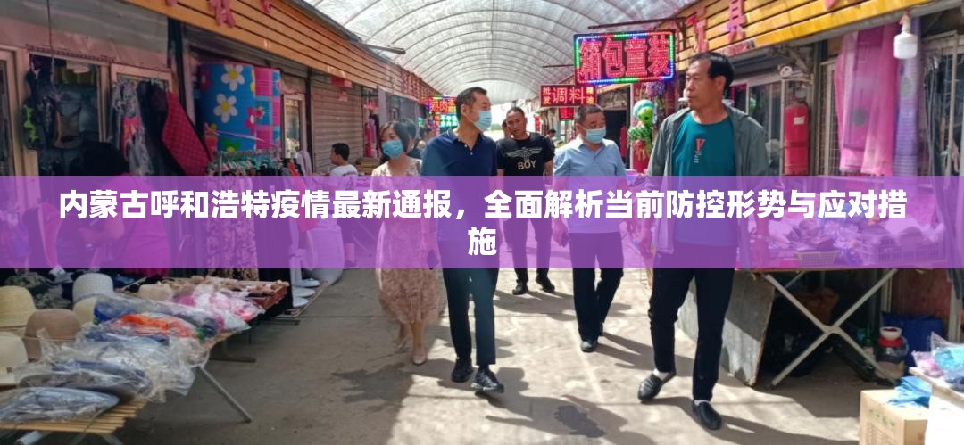 内蒙古呼和浩特疫情最新通报，全面解析当前防控形势与应对措施