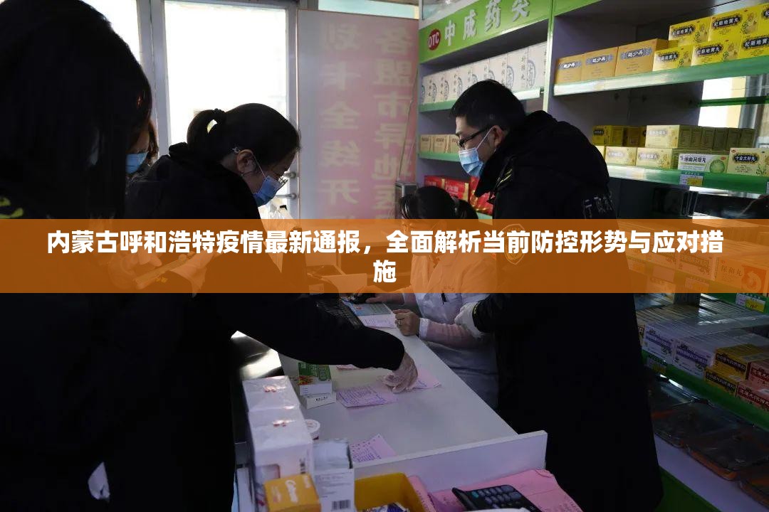 内蒙古呼和浩特疫情最新通报，全面解析当前防控形势与应对措施