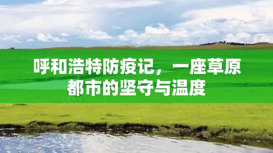 呼和浩特防疫记，一座草原都市的坚守与温度