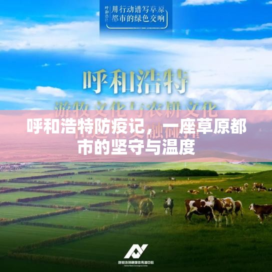 呼和浩特防疫记，一座草原都市的坚守与温度