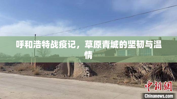呼和浩特战疫记，草原青城的坚韧与温情