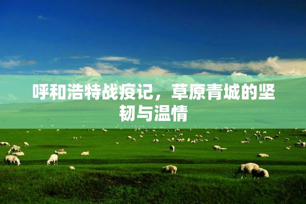 呼和浩特战疫记，草原青城的坚韧与温情