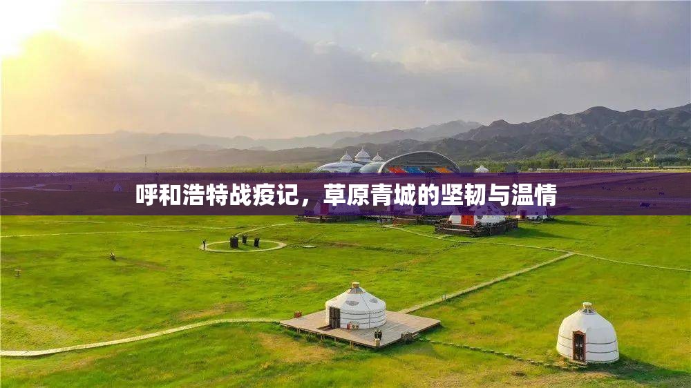 呼和浩特战疫记，草原青城的坚韧与温情