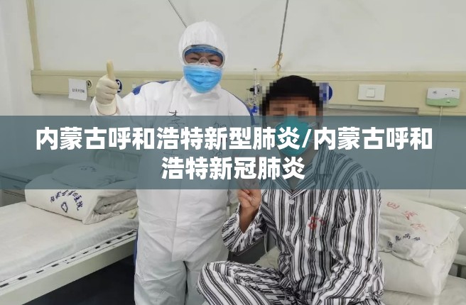 内蒙古呼和浩特新型肺炎/内蒙古呼和浩特新冠肺炎