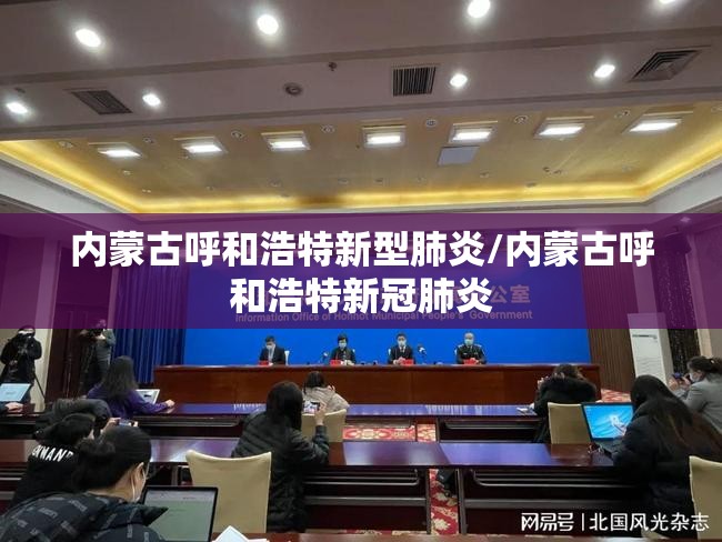 内蒙古呼和浩特新型肺炎/内蒙古呼和浩特新冠肺炎