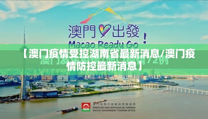 【沈阳河北疫情最新消息,沈阳与河北疫情】