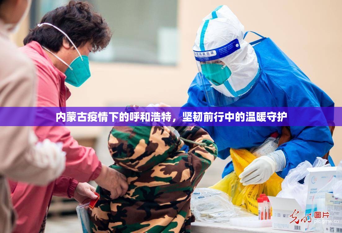 内蒙古疫情下的呼和浩特，坚韧前行中的温暖守护