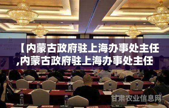 【内蒙古政府驻上海办事处主任,内蒙古政府驻上海办事处主任级别】
