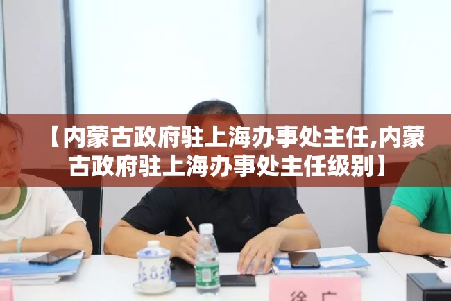 【内蒙古政府驻上海办事处主任,内蒙古政府驻上海办事处主任级别】