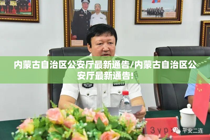 内蒙古自治区公安厅最新通告/内蒙古自治区公安厅最新通告!