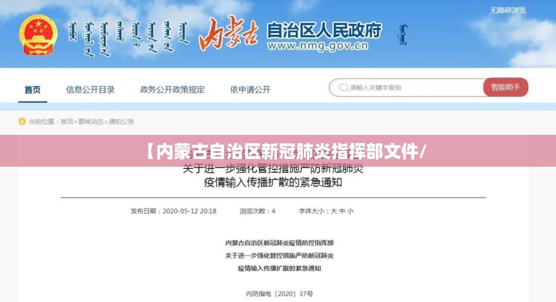 【内蒙古自治区新冠肺炎指挥部文件/