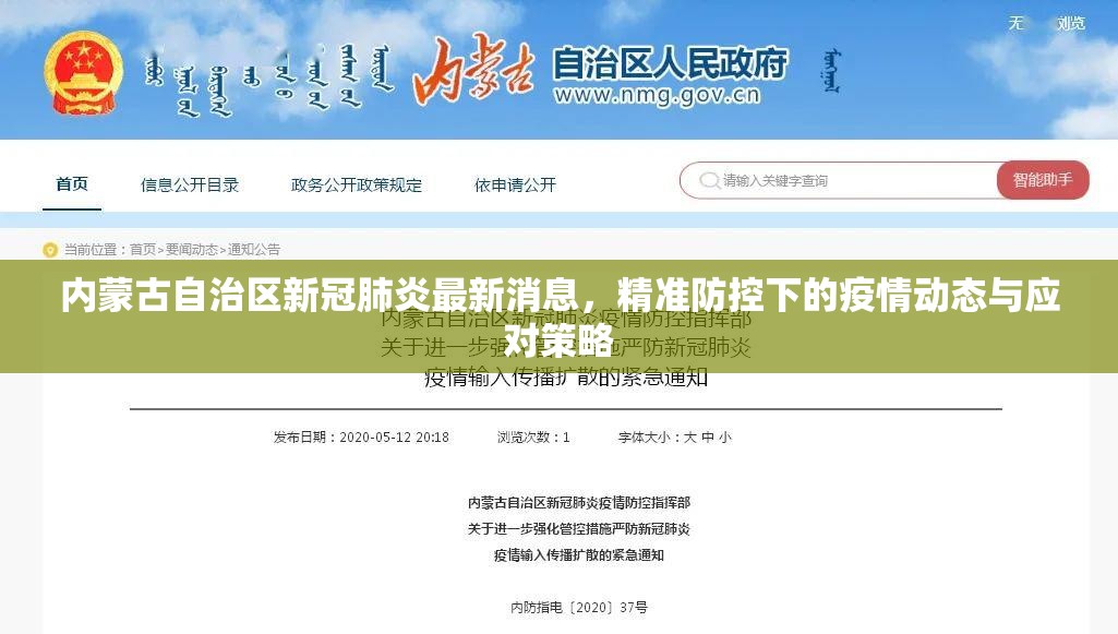 内蒙古自治区新冠肺炎最新消息，精准防控下的疫情动态与应对策略