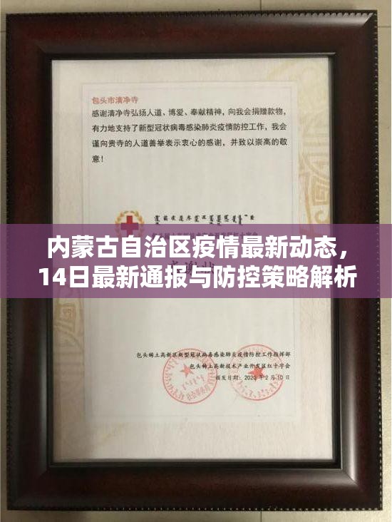内蒙古自治区疫情最新动态，14日最新通报与防控策略解析