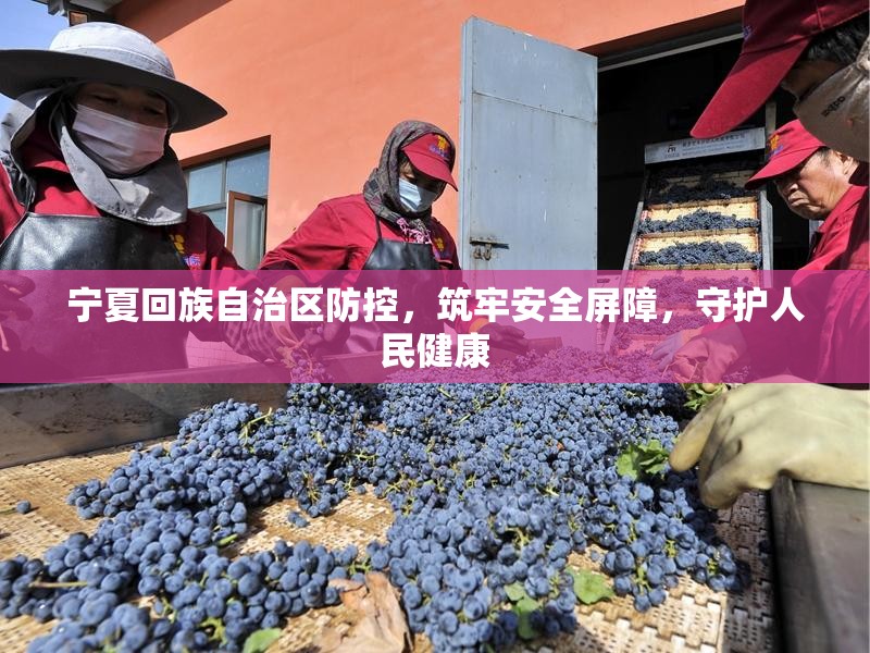 宁夏回族自治区防控，筑牢安全屏障，守护人民健康