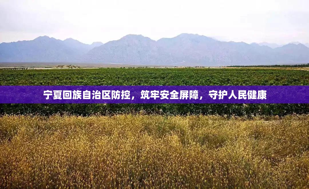 宁夏回族自治区防控，筑牢安全屏障，守护人民健康