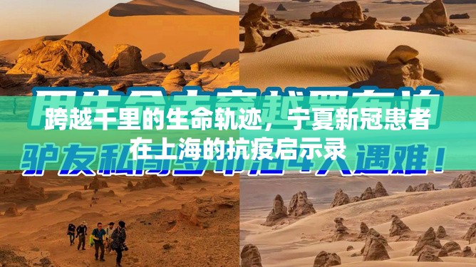 跨越千里的生命轨迹，宁夏新冠患者在上海的抗疫启示录