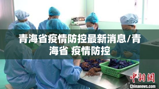 青海省疫情防控最新消息/青海省 疫情防控