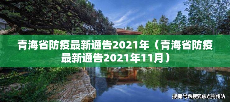 青海省防疫最新通告2021年（青海省防疫最新通告2021年11月）