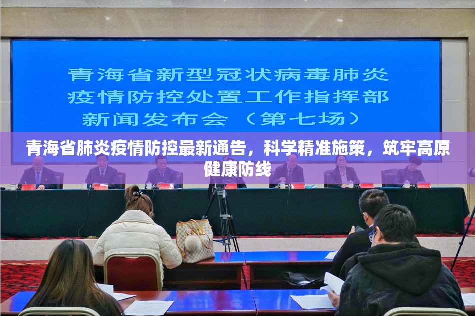 青海省肺炎疫情防控最新通告，科学精准施策，筑牢高原健康防线