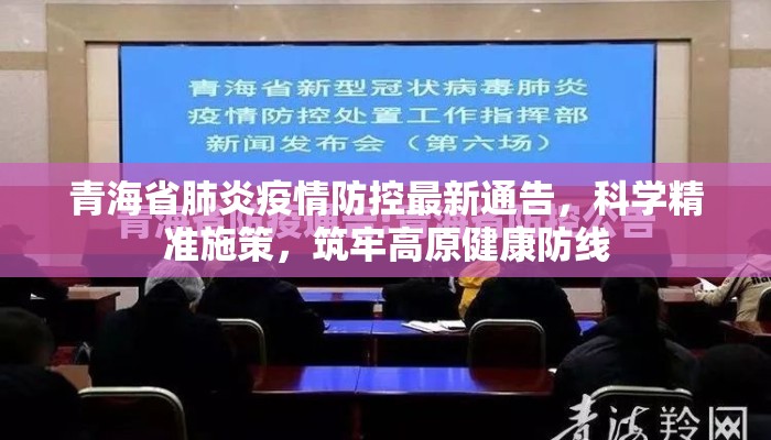 青海省肺炎疫情防控最新通告，科学精准施策，筑牢高原健康防线