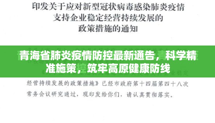 青海省肺炎疫情防控最新通告，科学精准施策，筑牢高原健康防线