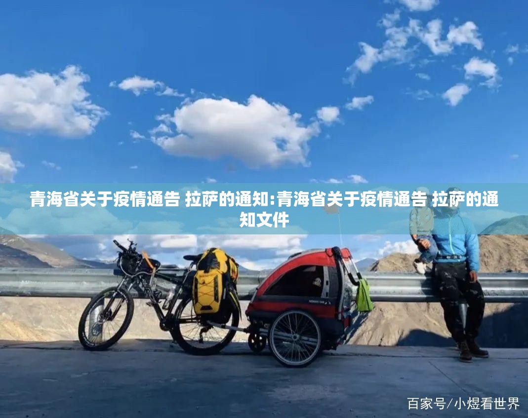青海省关于疫情通告 拉萨的通知:青海省关于疫情通告 拉萨的通知文件
