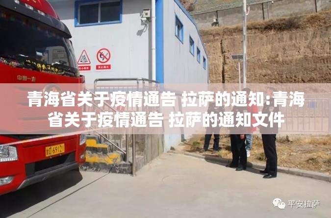 青海省关于疫情通告 拉萨的通知:青海省关于疫情通告 拉萨的通知文件