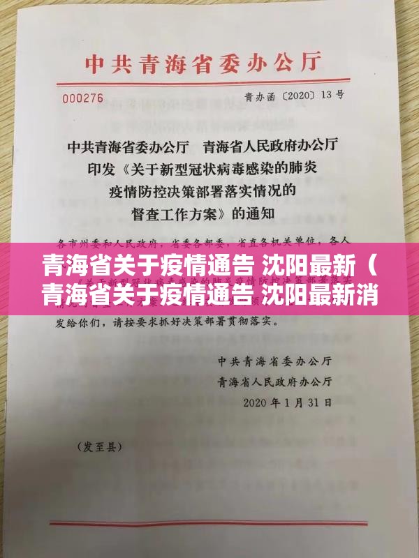 青海省关于疫情通告 沈阳最新（青海省关于疫情通告 沈阳最新消息）